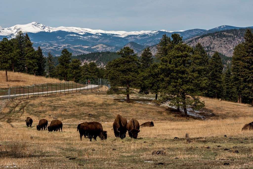 Haunted Legacy: A Life at Genesee Buffalo Ranch and Its Eerie History